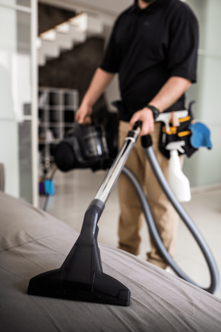 Professional Upholstery Cleaning Services for Your Home