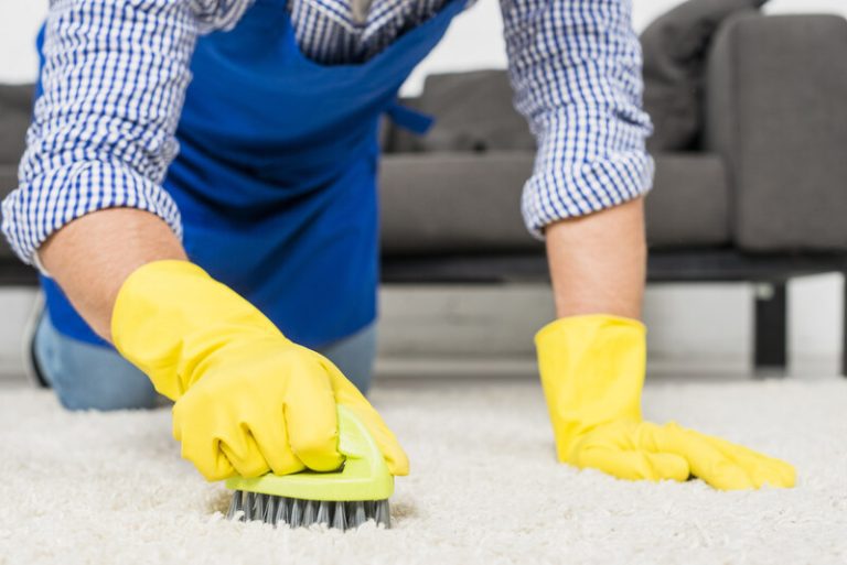 what is professional carpet cleaning