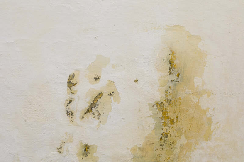 how to remove mould from walls