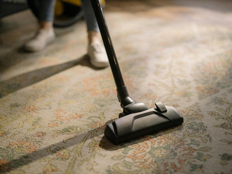 How To Get Rid of Carpet Moths? A Step by Step Guide