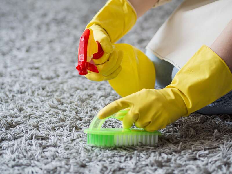 Full Step by Step Guide on How To Clean Wool Carpet At Home