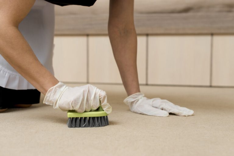 how to clean a carpet by hand