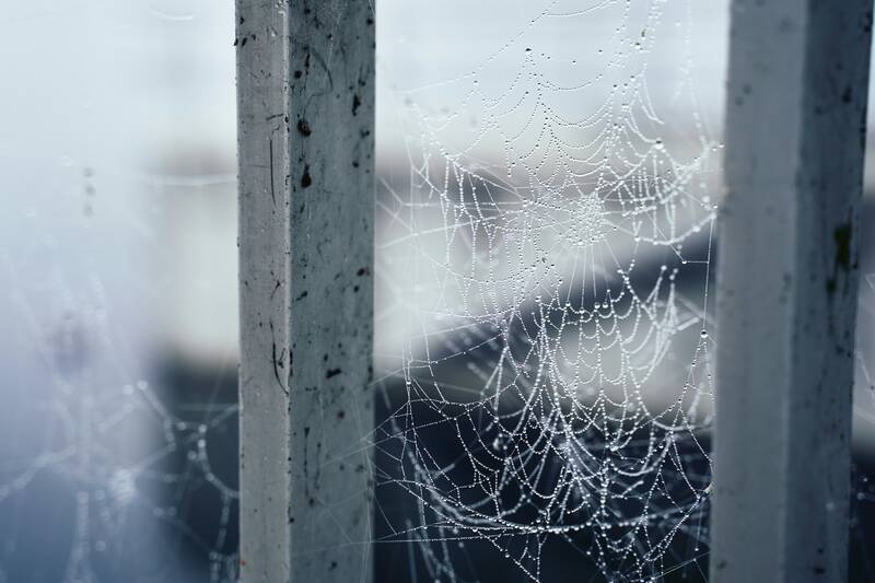 how to get rid of cobwebs